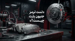 لنت ترمز جنیون پارت چیست؟